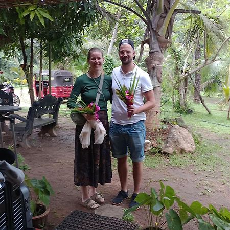 Jungle Eco Lodge & Safari Σιγκιρίγια Εξωτερικό φωτογραφία