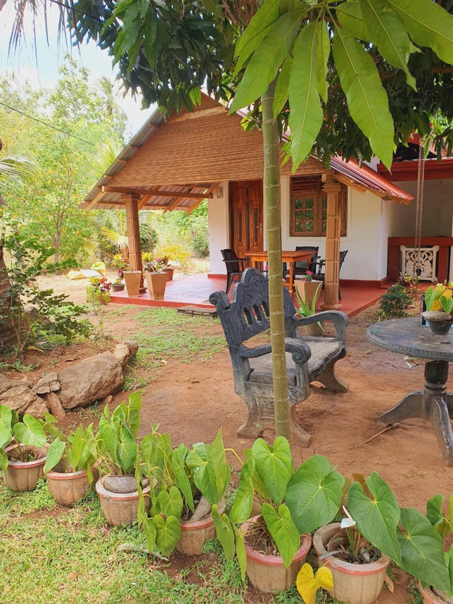 Jungle Eco Lodge & Safari Σιγκιρίγια Εξωτερικό φωτογραφία