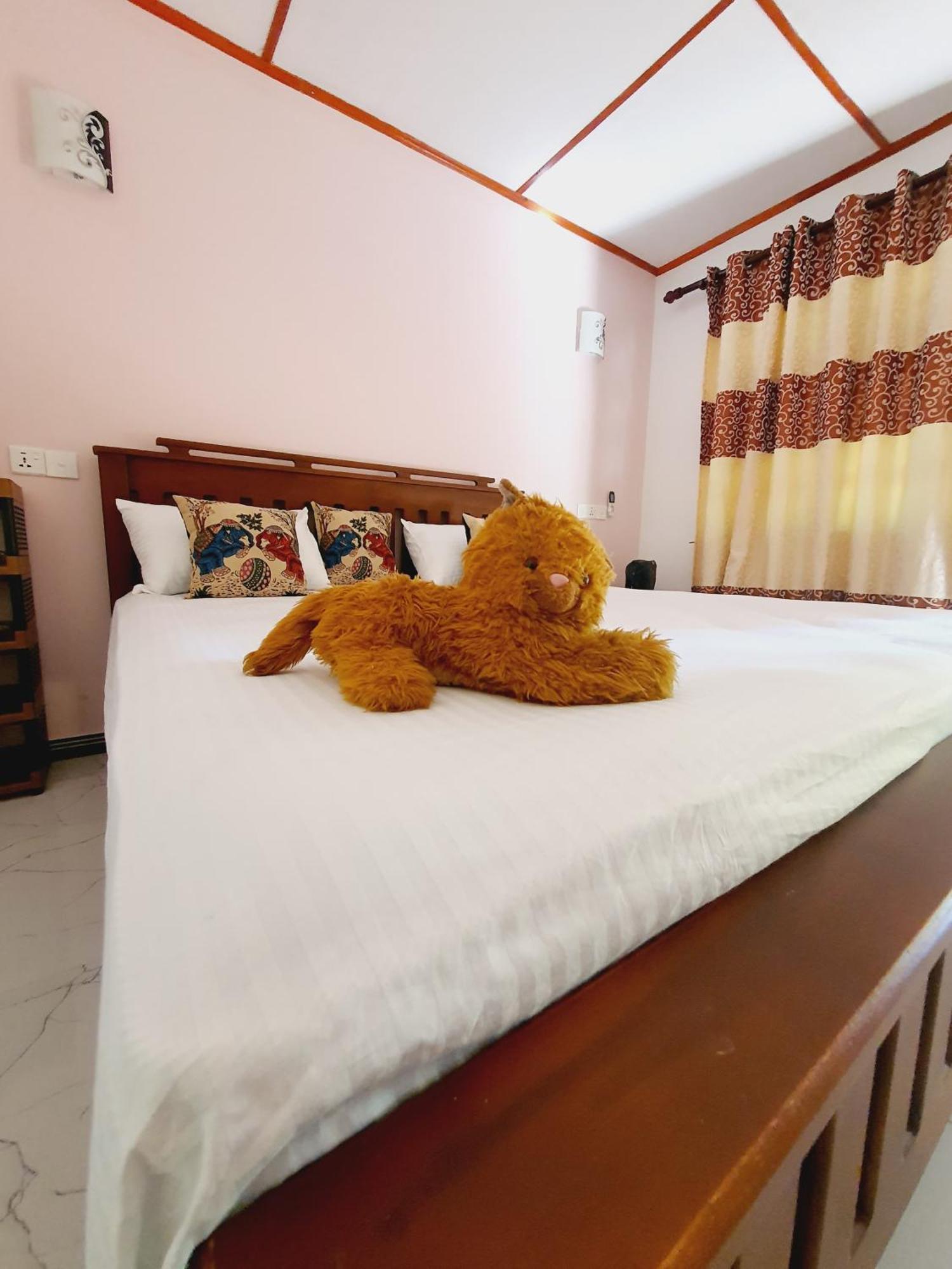 Jungle Eco Lodge & Safari Σιγκιρίγια Εξωτερικό φωτογραφία