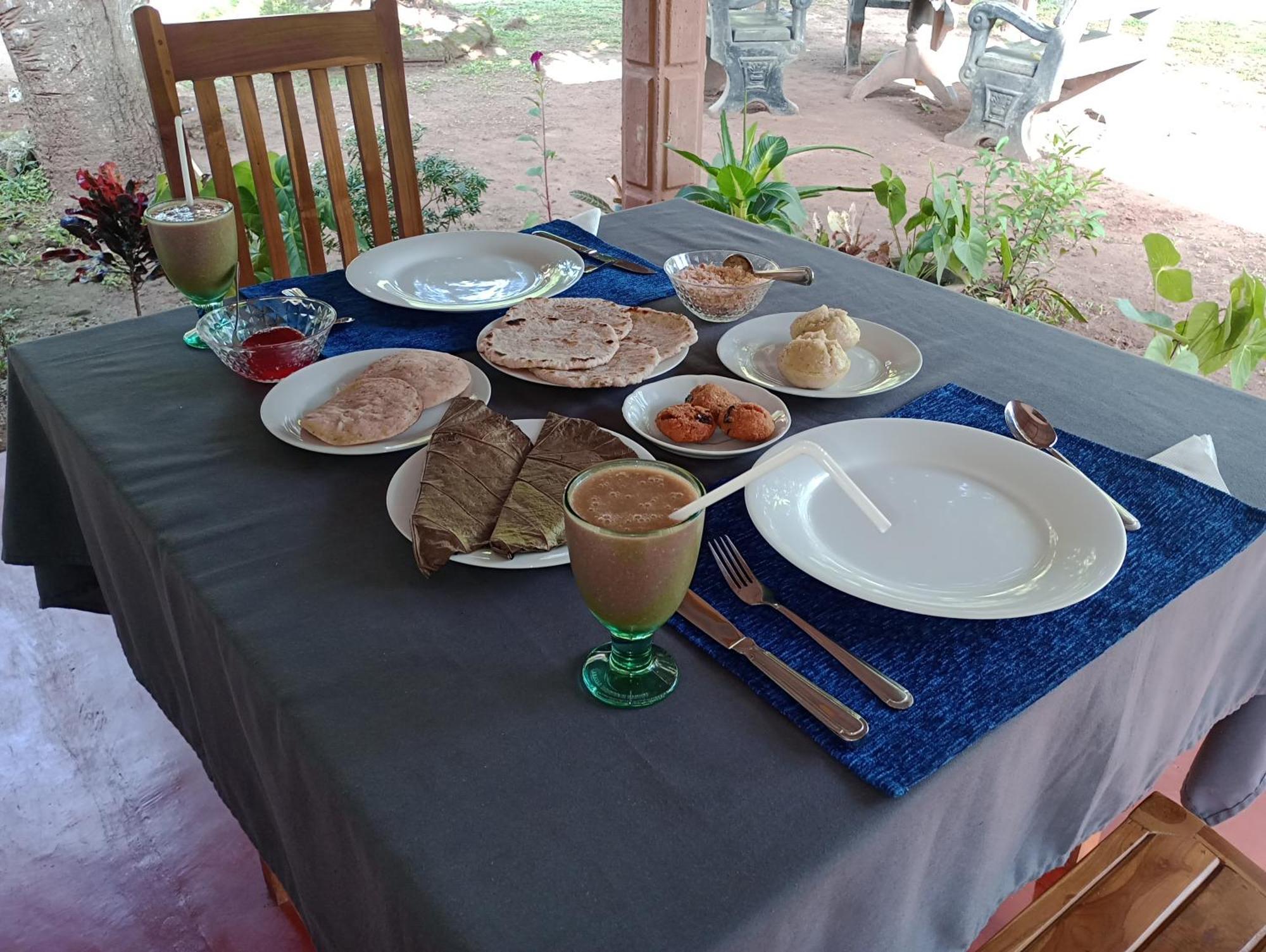 Jungle Eco Lodge & Safari Σιγκιρίγια Εξωτερικό φωτογραφία